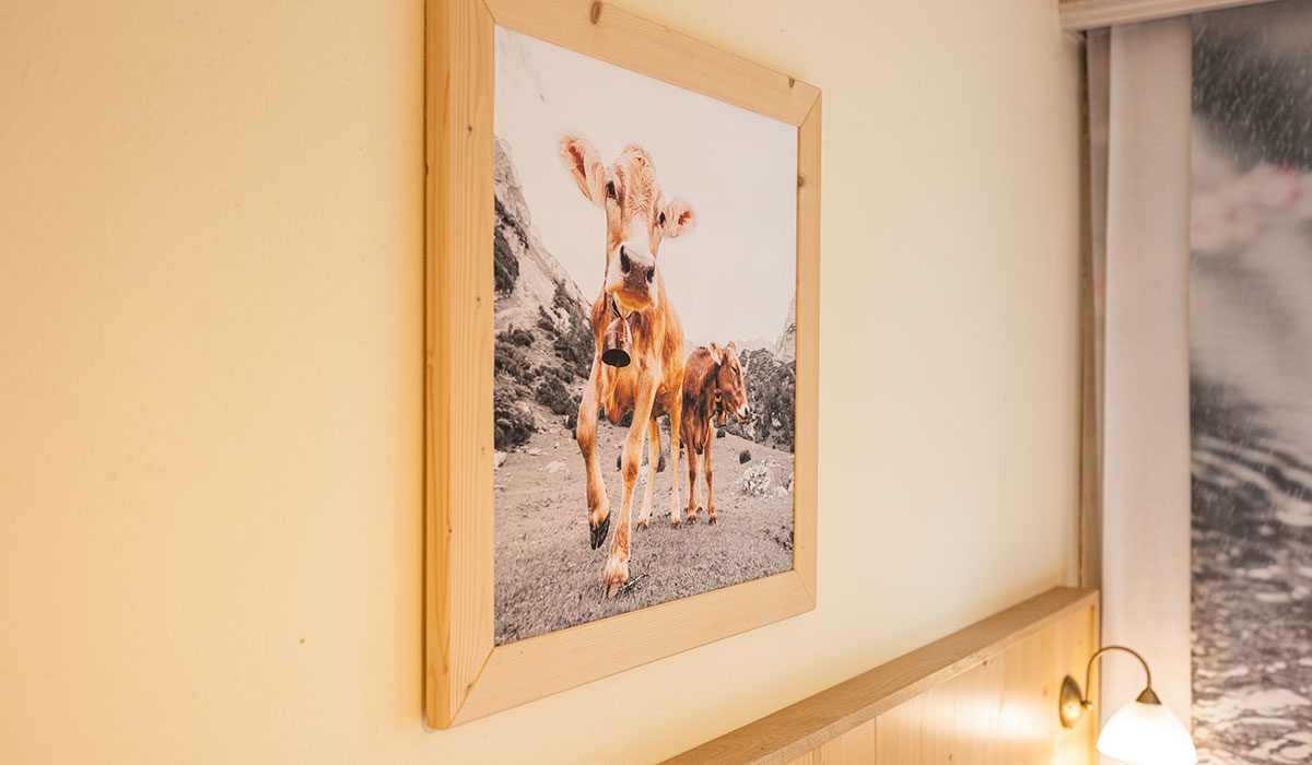 Tauerncamping Appartement in Radstadt